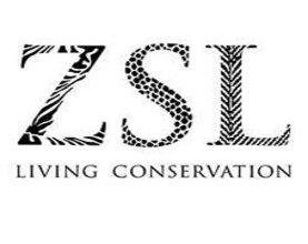 ZSL News Release: Survey Reveals Seal Numbers in Thames