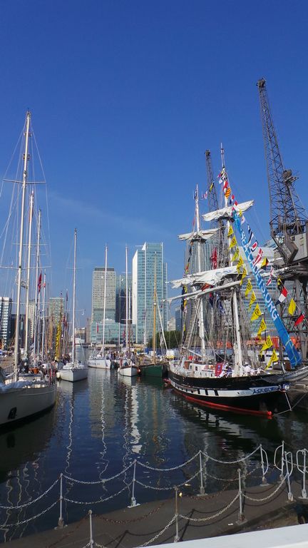 West India Dock lock, full of ships waiting to join the Parade of Sail