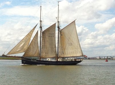 Last of the Sail Greenwich vessels to leave, Gallant, under full sail